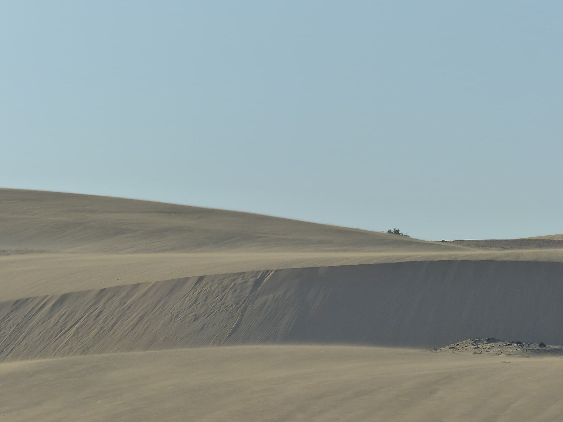 Parque Natural de las Dunas de Corralejo